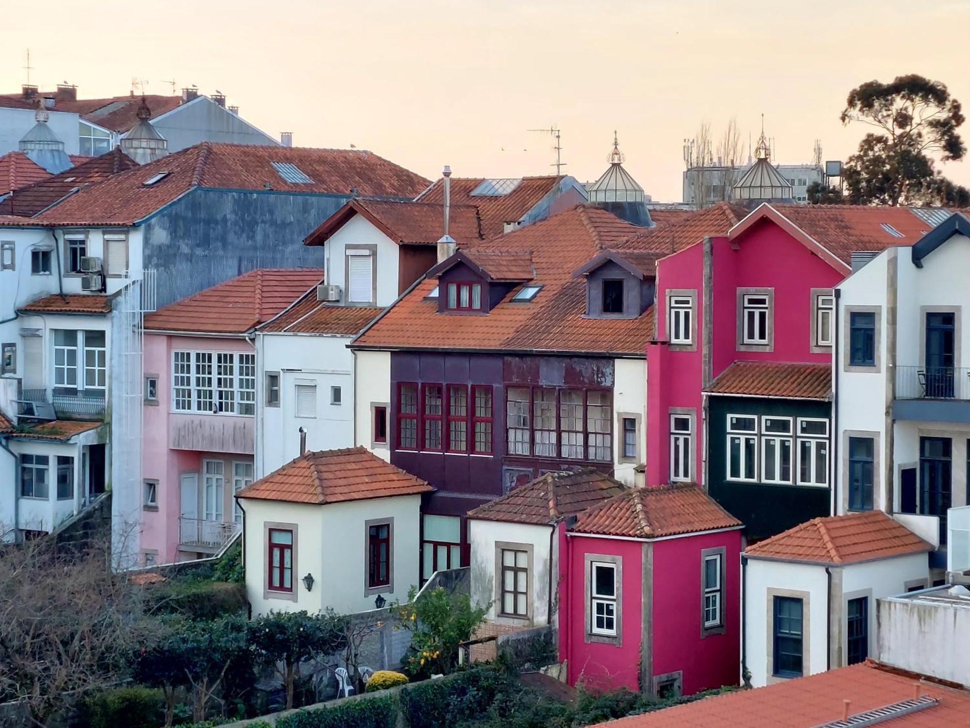 Le Chien Noir City Centre Porto Eksteriør billede